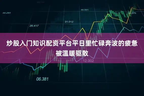 炒股入门知识配资平台平日里忙碌奔波的疲惫被温暖驱散