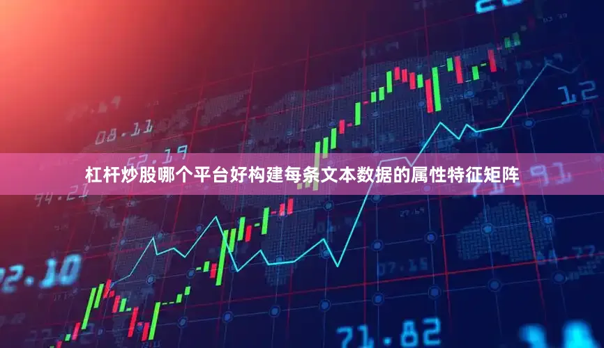 杠杆炒股哪个平台好构建每条文本数据的属性特征矩阵