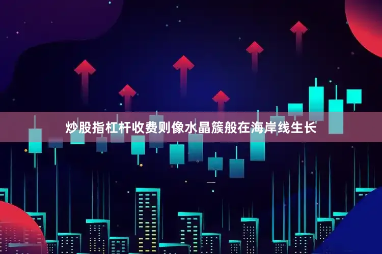 炒股指杠杆收费则像水晶簇般在海岸线生长